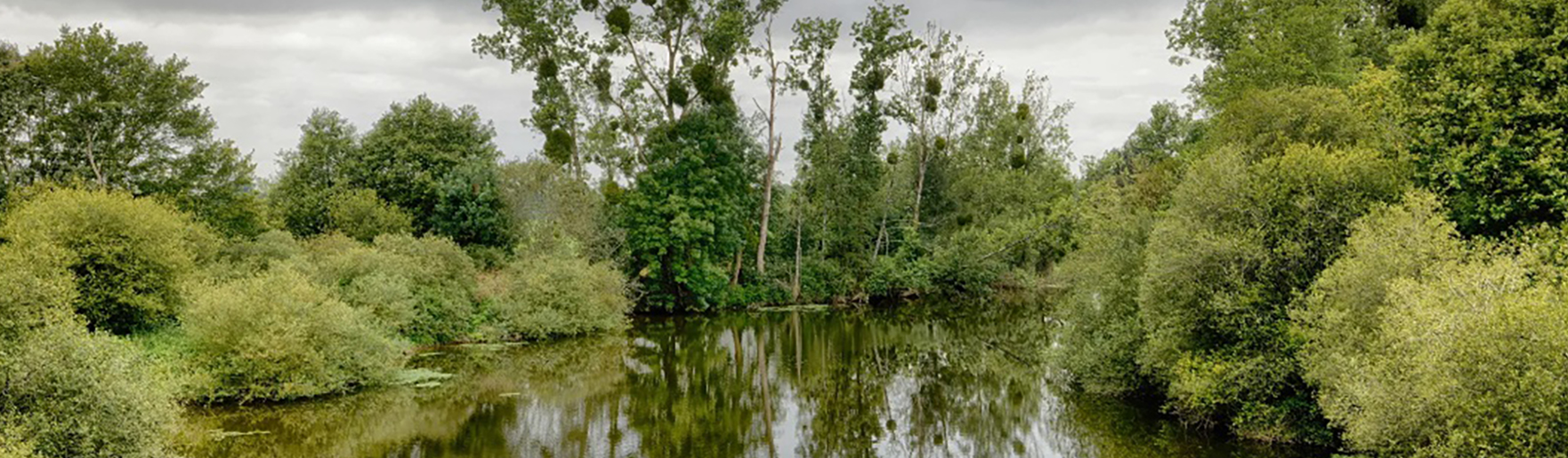 panoramique